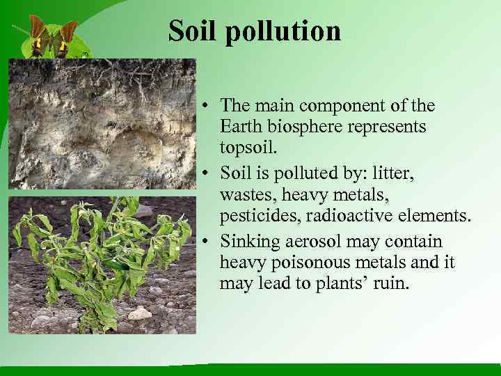 Soil pollution • The main component of the Earth biosphere represents topsoil. • Soil