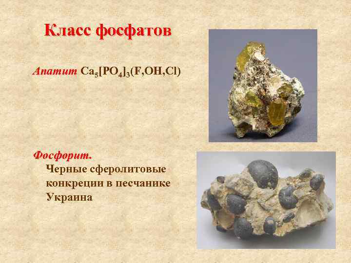Класс фосфатов Апатит Са 5[РO 4]3(F, ОН, Cl) Фосфорит. Черные сферолитовые конкреции в песчанике
