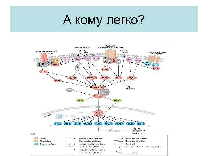 А кому легко? 
