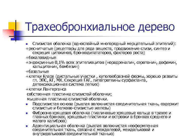 Трахеобронхиальное дерево Слизистая оболочка (однослойный многорядный мерцательный эпителий): +реснитчатые (рецепторы для ряда веществ, продвижение