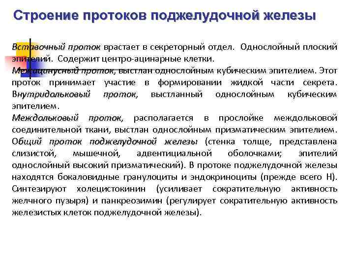Строение протоков поджелудочной железы Вставочный проток врастает в секреторный отдел. Однослойный плоский эпителий. Содержит