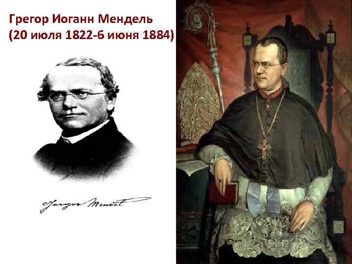 Грегор Иоганн Мендель (20 июля 1822 -6 июня 1884) 