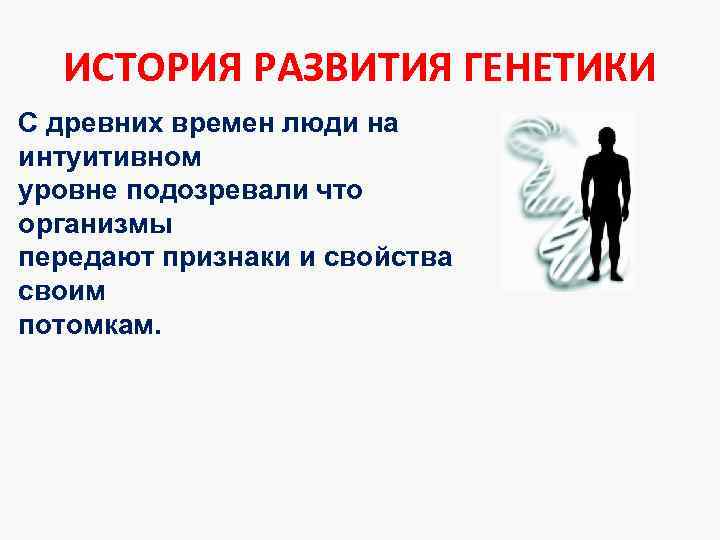ИСТОРИЯ РАЗВИТИЯ ГЕНЕТИКИ С древних времен люди на интуитивном уровне подозревали что организмы передают
