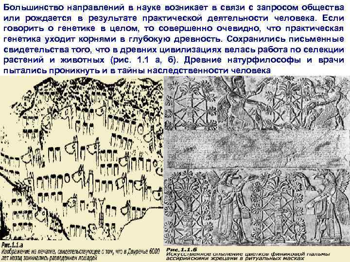 Большинство направлений в науке возникает в связи с запросом общества или рождается в результате