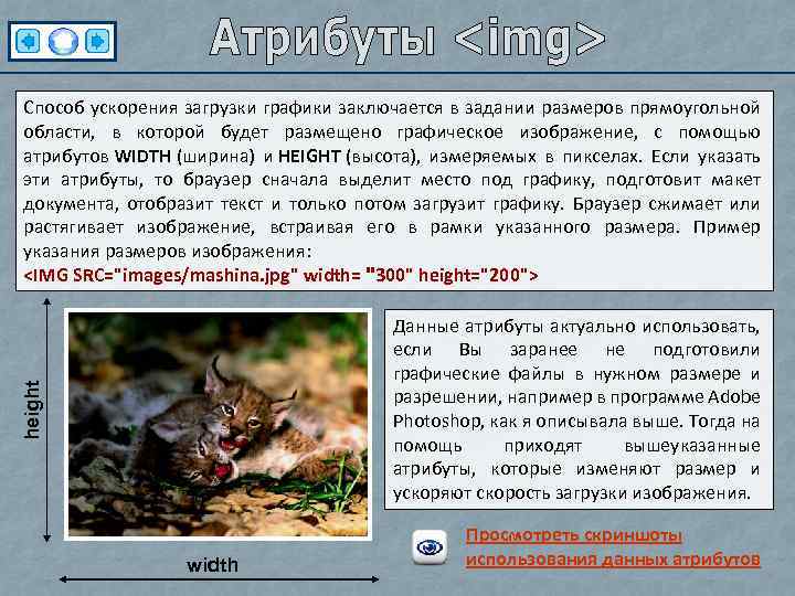 Способ ускорения загрузки графики заключается в задании размеров прямоугольной области, в которой будет размещено