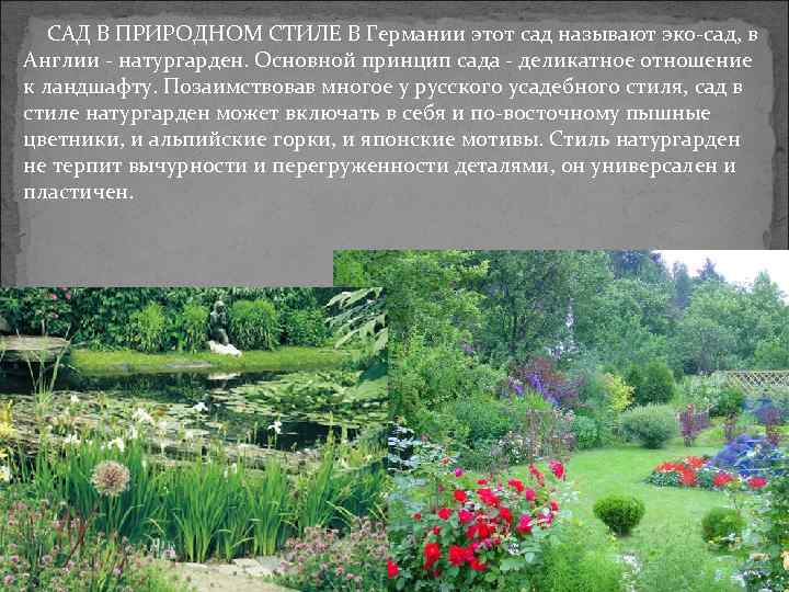 САД В ПРИРОДНОМ СТИЛЕ В Германии этот сад называют эко-сад, в Англии - натургарден.