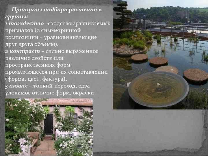 Принципы подбора растений в группы: 1 тождество –сходство сравниваемых признаков (в симметричной композиции –