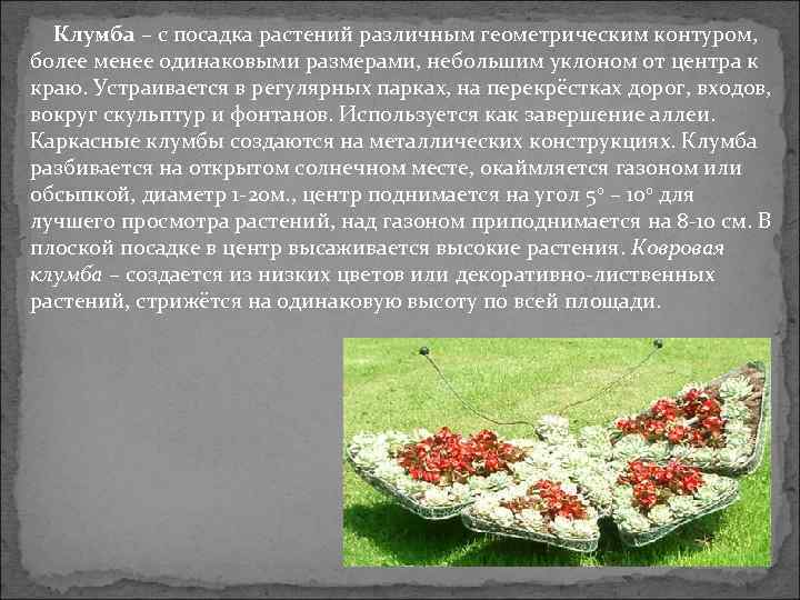 Клумба – с посадка растений различным геометрическим контуром, более менее одинаковыми размерами, небольшим уклоном