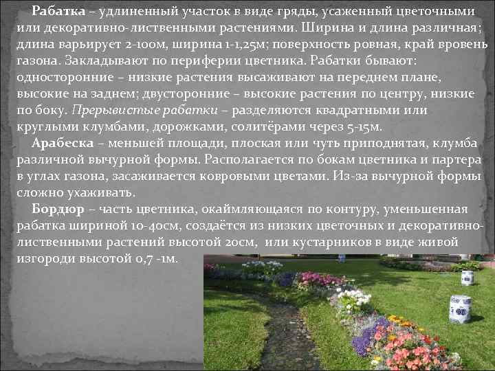 Рабатка – удлиненный участок в виде гряды, усаженный цветочными или декоративно-лиственными растениями. Ширина и