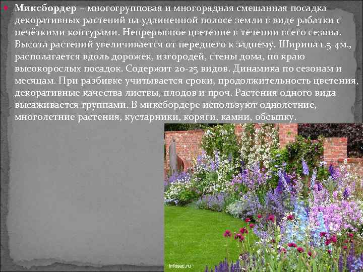  Миксбордер – многогрупповая и многорядная смешанная посадка декоративных растений на удлиненной полосе земли
