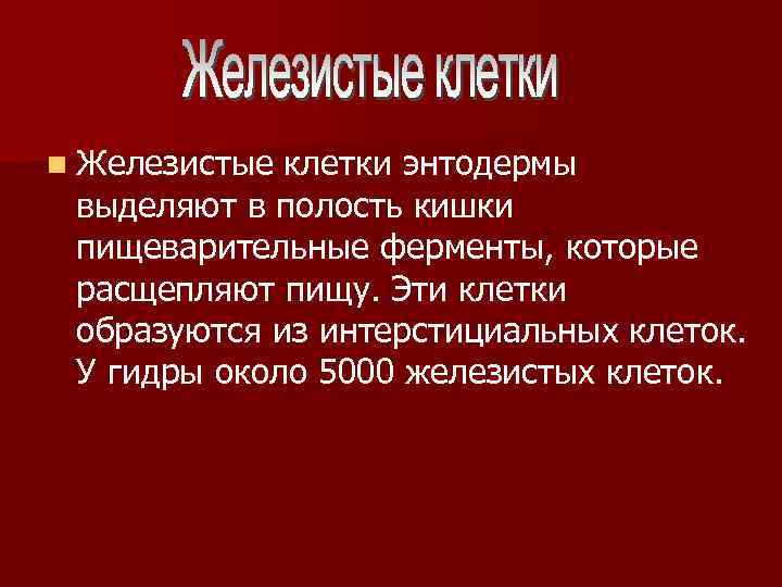 n Железистые клетки энтодермы выделяют в полость кишки пищеварительные ферменты, которые расщепляют пищу. Эти