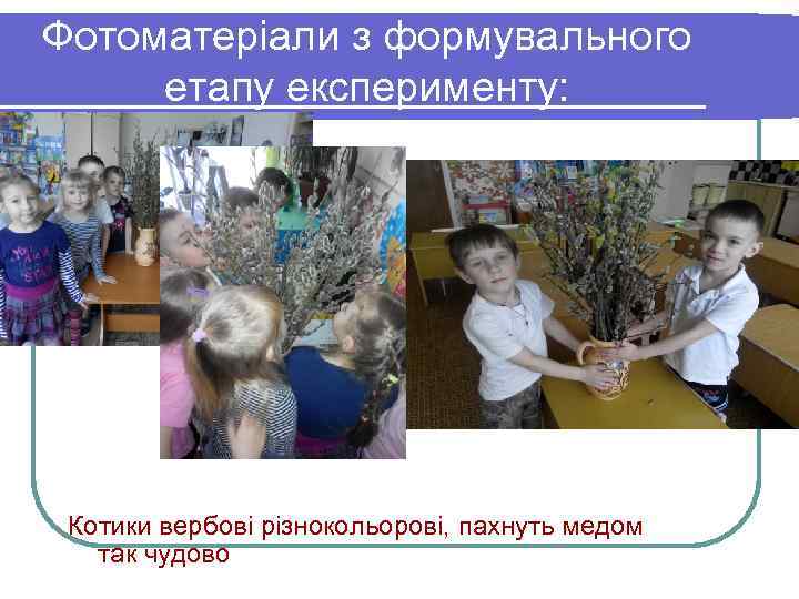 Фотоматеріали з формувального етапу експерименту: Котики вербові різнокольорові, пахнуть медом так чудово 