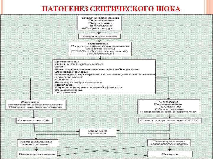 Игма патофизиология план