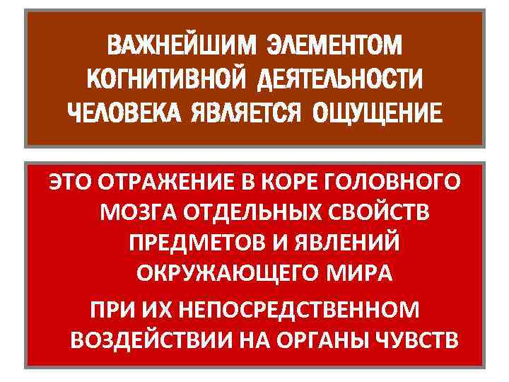 ВАЖНЕЙШИМ ЭЛЕМЕНТОМ КОГНИТИВНОЙ ДЕЯТЕЛЬНОСТИ ЧЕЛОВЕКА ЯВЛЯЕТСЯ ОЩУЩЕНИЕ ЭТО ОТРАЖЕНИЕ В КОРЕ ГОЛОВНОГО МОЗГА ОТДЕЛЬНЫХ
