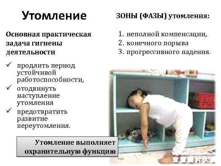 Утомление Основная практическая задача гигиены деятельности ЗОНЫ (ФАЗЫ) утомления: 1. неполной компенсации, 2. конечного