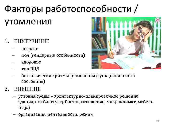 Факторы работоспособности / утомления 1. ВНУТРЕННИЕ – – – возраст пол (гендерные особенности) здоровье