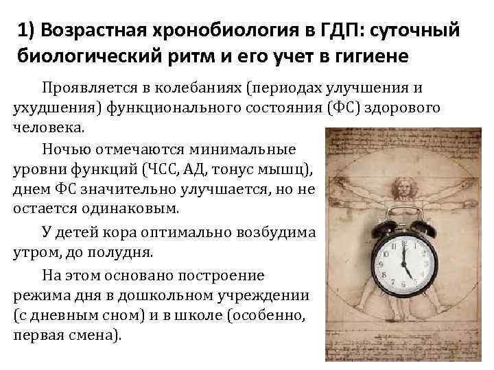 1) Возрастная хронобиология в ГДП: суточный биологический ритм и его учет в гигиене Проявляется