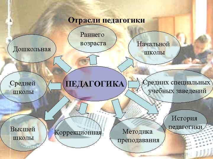 Отрасли педагогики презентация