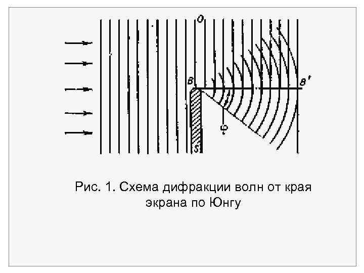Рис. 1. Схема дифракции волн от края экрана по Юнгу 