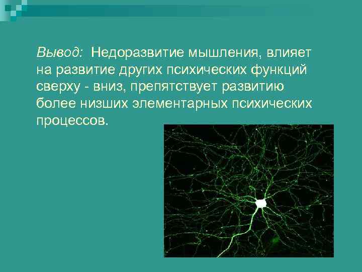 Вывод: Недоразвитие мышления, влияет на развитие других психических функций сверху - вниз, препятствует развитию