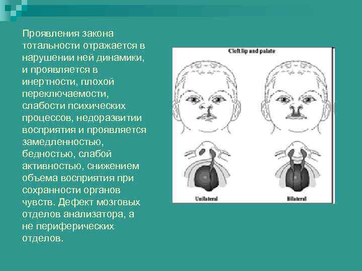 Проявления закона тотальности отражается в нарушении ней динамики, и проявляется в инертности, плохой переключаемости,