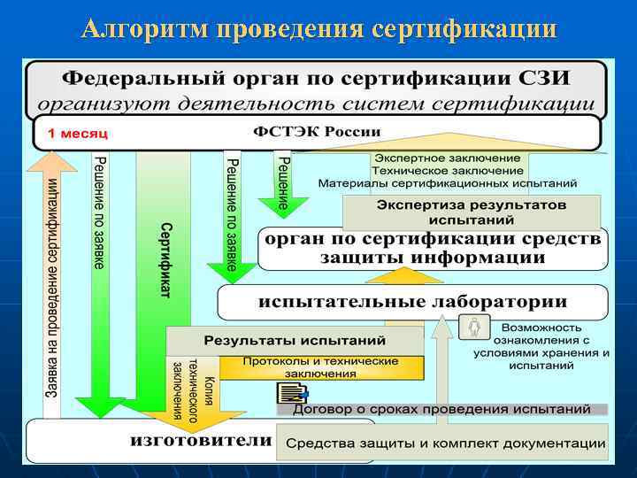 Алгоритм проведения сертификации 