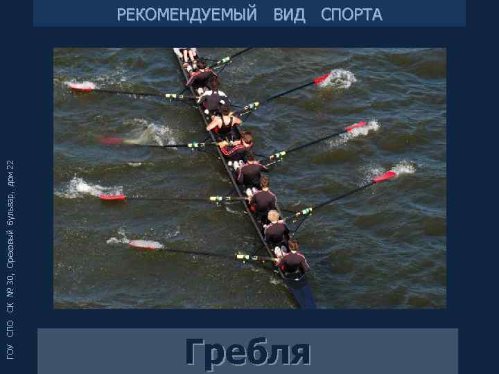 ГОУ СПО СК № 30, Ореховый бульвар, дом 22 РЕКОМЕНДУЕМЫЙ ВИД СПОРТА Гребля 