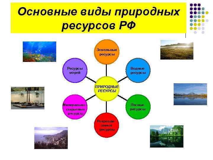 Основные виды природных ресурсов РФ Земельные ресурсы Водные ресурсы Ресурсы морей ПРИРОДНЫЕ РЕСУРСЫ Лесные