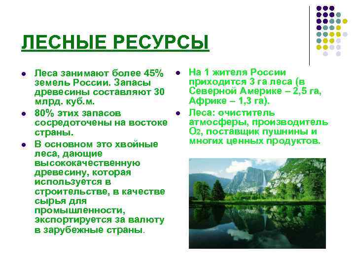 ЛЕСНЫЕ РЕСУРСЫ l l l Леса занимают более 45% земель России. Запасы древесины составляют