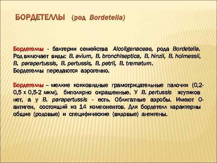 БОРДЕТЕЛЛЫ (род Bordetella) Бордетеллы - бактерии семейства Alcoligenaceae, рода Bordetella. Род включает виды: B.