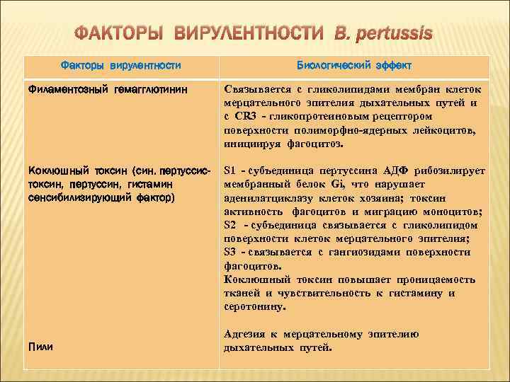 ФАКТОРЫ ВИРУЛЕНТНОСТИ B. pertussis Факторы вирулентности Биологический эффект Филаментозный гемагглютинин Связывается с гликолипидами мембран