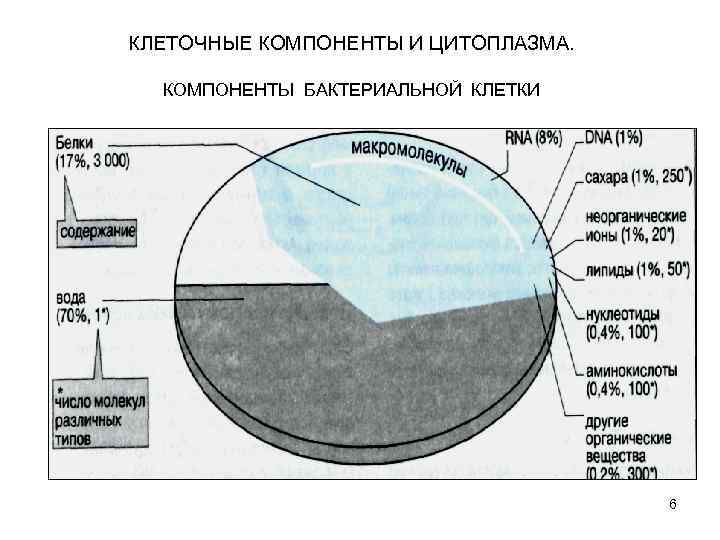 КЛЕТОЧНЫЕ КОМПОНЕНТЫ И ЦИТОПЛАЗМА. КОМПОНЕНТЫ БАКТЕРИАЛЬНОЙ КЛЕТКИ 6 