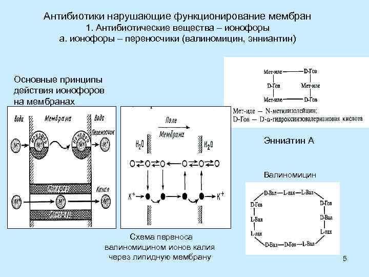 Антибиотики нарушающие функционирование мембран 1. Антибиотические вещества – ионофоры а. ионофоры – переносчики (валиномицин,