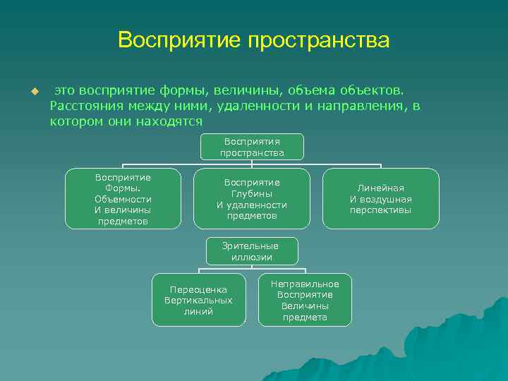 Восприятие пространства u это восприятие формы, величины, объема объектов. Расстояния между ними, удаленности и