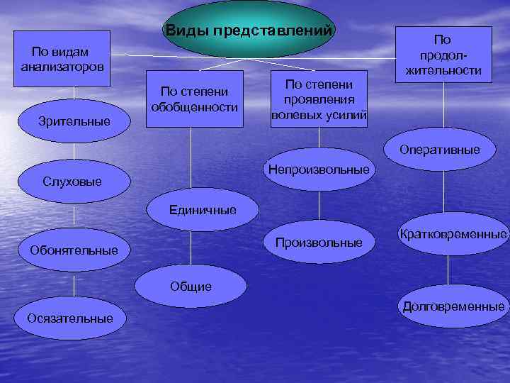 Виды представлений По видам анализаторов По степени обобщенности Зрительные По степени проявления волевых усилий
