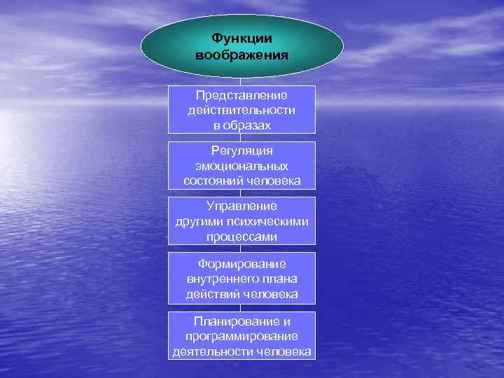 Функции воображения Представление действительности в образах Регуляция эмоциональных состояний человека Управление другими психическими процессами