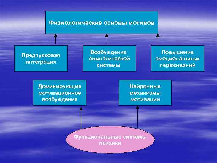 Физиологические основы мотивов Возбуждение симпатической системы Предпусковая интеграция Доминирующие мотивационное возбуждение Повышение эмоциональных переживаний
