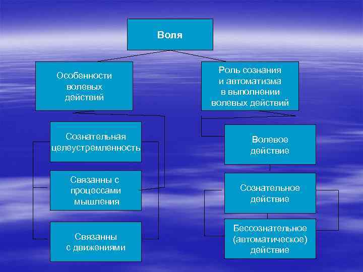 Воля Особенности волевых действий Роль сознания и автоматизма в выполнении волевых действий Сознательная целеустремленность