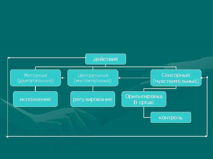 Проект психика и поведение человека