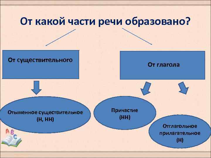 От какой части речи образовано? От существительного Отыменное существительное (Н, НН) От глагола Причастие