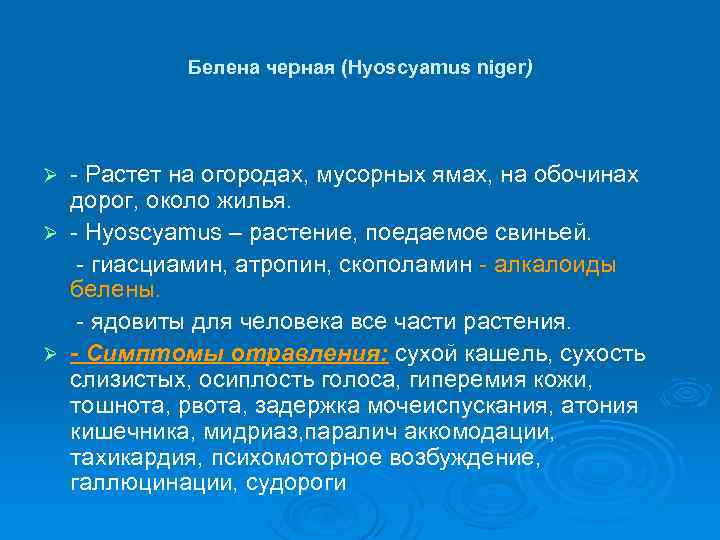 Белена черная (Hyoscyamus niger) - Растет на огородах, мусорных ямах, на обочинах дорог, около