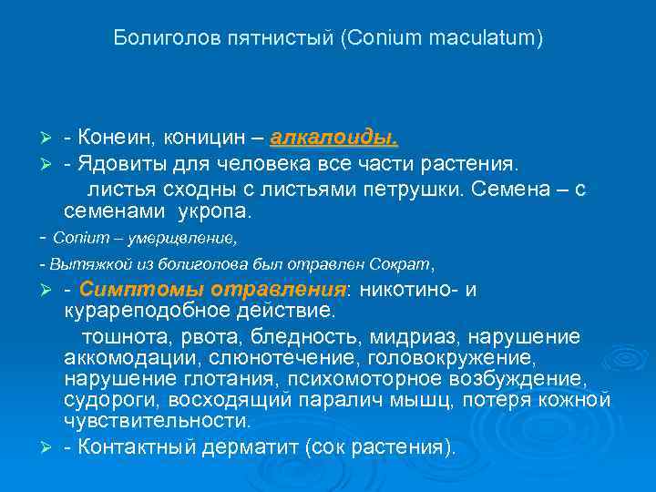 Болиголов пятнистый (Conium maculatum) Ø Ø - Конеин, коницин – алкалоиды. - Ядовиты для