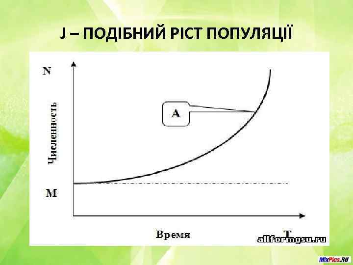 J – ПОДІБНИЙ РІСТ ПОПУЛЯЦІЇ 