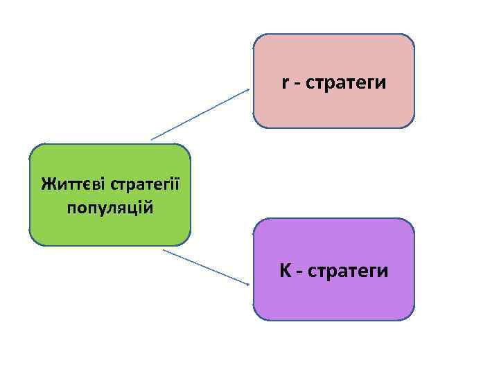 r - стратеги Життєві стратегії популяцій K - стратеги 