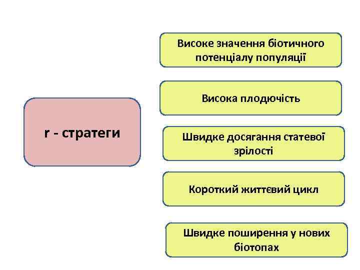 Високе значення біотичного потенціалу популяції Висока плодючість r - стратеги Швидке досягання статевої зрілості