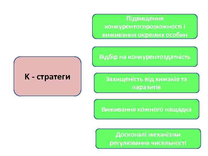 Підвищення конкурентоспроможності і виживання окремих особин Відбір на конкурентоздатність K - стратеги Захищеність від