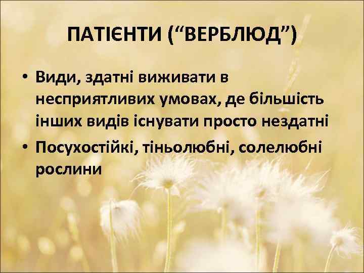 ПАТІЄНТИ (“ВЕРБЛЮД”) • Види, здатні виживати в несприятливих умовах, де більшість інших видів існувати