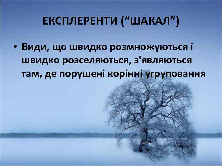 ЕКСПЛЕРЕНТИ (“ШАКАЛ”) • Види, що швидко розмножуються і швидко розселяються, з'являються там, де порушені