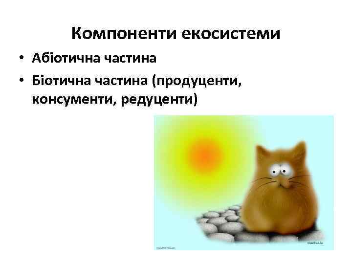 Компоненти екосистеми • Абіотична частина • Біотична частина (продуценти, консументи, редуценти) 