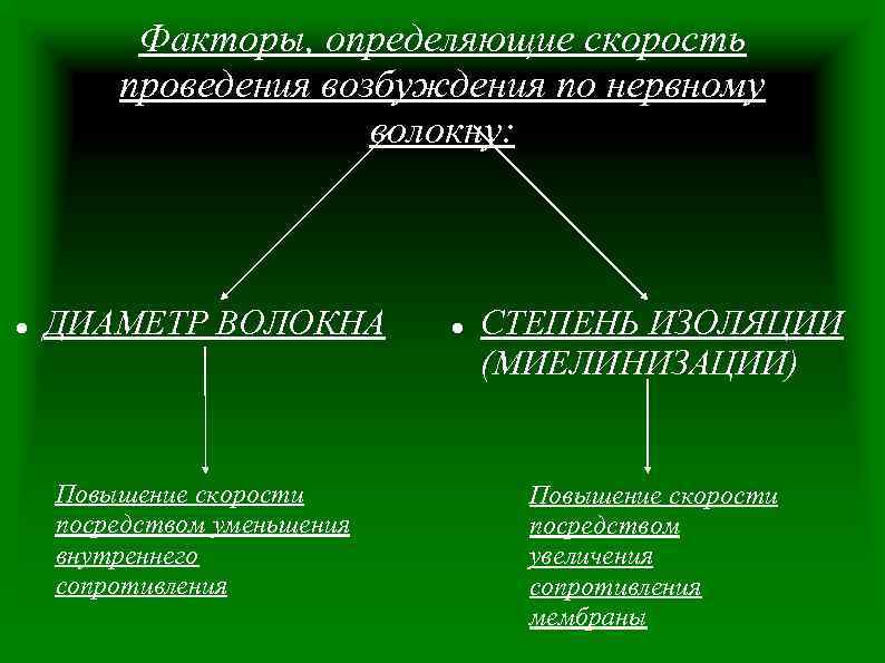 От каких факторов зависит скорость